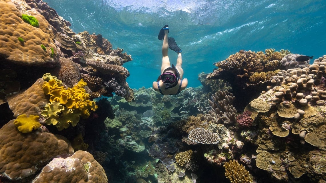 Exploring the magical world of the Great Barrier Reef
